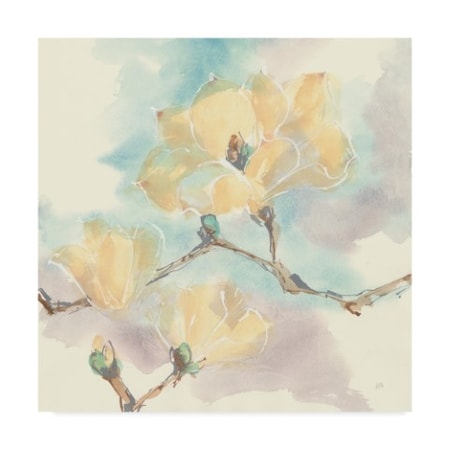 Chris Paschke 'Magnolias In White I' Canvas Art,24x24